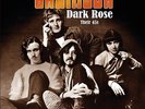 BRAINBOX - Dark Rose: Their 45s - 2 LP Pseudonym