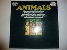 Animals ?– 'The Most Of' 160g 12
