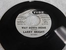 LARRY BRIGHT 