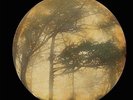 Golden Void - Berkana [Vinyl New]