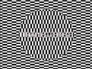 Transverse by Carter Tutti Void (Vinyl, Mar-2012, 2 Discs, Mute)