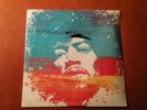 Jimi Hendrix A Lifetime Of Experience (Newport Jazz Festival 6/20/69)