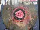 Anti-Flag American Spring LP Tour Only Black/Gold Haze Vinyl Limited to 300