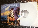 CONCEPTION-In Your Multitude - ORIGINAL 1st Press LP '95 -  - EXCELLENT