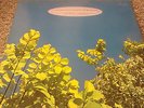 The Go-Betweens: 1978-1990 2LP compilation set, Beggars Banquet, indie, indiepop