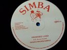 Dennis Brown- Promised Land /Deep ROOTS REGGAE 12