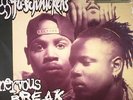 FU SCHNICKENS - Nervous Breakdown (reissue) - Vinyl (LP)