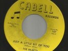 GARAGE PUNK ROCKER- REJECTS -- JUST A LITTLE BIT OF YOU  -HEAR --1966 VA. CABELL