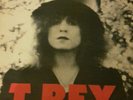 T Rex/The slider lp record