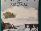 OASIS   Sounds Alive LP PRIVATE XIAN FEMALE LONER FOLK PSYCH Rare HEAR Listen