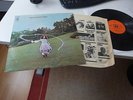 TREES- ON THE SHORE- RARE ORIGINAL 1970 UK LP CBS 64168