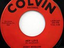 JERRY WOODARD 45 New Love / You Just Wait COLVIN label DOO WOP e4557