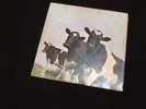 PINK FLOYD ATOM HEART MOTHER - Vinyl (1970)