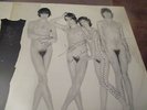 rare 33t lp telephone  crache ton venin calque dedicacé aubert bertignac