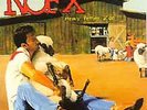 Heavy Petting Zoo - Nofx (1996, Vinyl New)