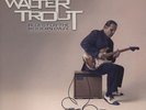 Walter Trout - Blues For The Modern Daze (Vinyl LP - 2012 - EU - Original)