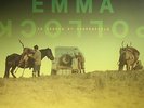 POLLOCK, Emma - In Search Of Harperfield - Vinyl (LP)