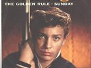 SCOTT ENGEL--PICTURE SLEEVE + 45---(GOLDEN RULE)--PS--PIC--SLV