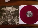 Insect Warfare,rare world Extermination Lp Purple Vinyl Plus Poster,napalm Death