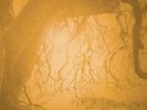Golden Void (2012, Vinyl NUEVO)