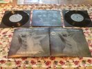 Siouxsie And The Banshees Hong Kong Garden 2x7