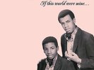 BOB+GENE - If This World Were Mine...