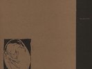 BOY SETS FIRE - This Crying, This Screaming, My Voice Is Being Born