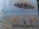 Neil Young - On the beach LP