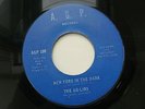 AD-LIBS - NEW YORK IN THE DARK - PRESSING