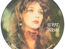 LIMITED EDITION INTERVIEW PICTURE DISC  KATE BUSH Vinyl Record