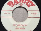 TEEN BEAT Jerry Martin WHY MUST I CRY Barry 45 rare Canadian rocker obscure