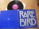 RARE BIRD