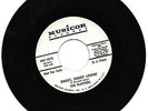 THE PLATTERS - SWEET SWEET LOVIN - MUSICOR - DJ DEMO - VERY GOOD ++ CONDITION