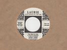 Hoagy Lands - The Next In Line - Laurie Demo 2nd - Northern Soul Crossover Motow