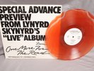 LYNYRD SKYNYRD One More From The Road 12