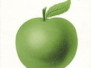 WINGS *GIVE IRELAND BACK TO THE IRISH* WITH APPLE INSERT  N MINT