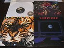 3 LP Survivor Eye of the Tiger The best of Caught in the Game Germany | M- to EX