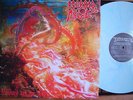 MORBID ANGEL -Blessed are the sick LP Re Blue Vinyl (SLAYER, OBITUARY, NOCTURNUS