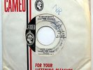 BOBBY ROBERTS & RAVONS 45 How Can I Make Her Mine PROMO Garage ROCKER w6152