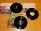 Echo & The Bunnymen 3 12
