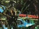 Bob Marley and The Wailers - Soul Rebels Vinyl LP Cleop NEW