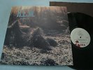 REM Murmur LP NM SP-70604 1983 (C) Sterling