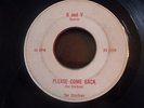 THE STARFIRES Please Come Back RARE PA GARAGE 45 B & V You're My Only One LISTEN