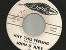 DOOWOP TEEN- JOHN & JUDY  & GROUP?-- WHY THIS FEELING  -HEAR BOTH -1960 DORE