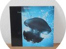LP The Chills - Submarine Bells, London Rec. 839 191-1, EU 1990, WASHED