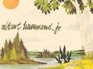 Albert Hammond Jr. Yours To Keep LP The Strokes Vinyl RSD 2016
