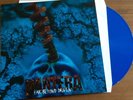 Pantera - Far Beyond Driven  12