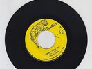 PANTHER/ JOHNNY TOO BAD  -  THE SLICKERS  (70  REGGAE ROCKERS 7