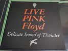 Pink Floyd 2 Sided Record Store 12