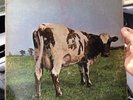 Pink Floyd - Atom Heart Mother - 1970 Vinyl LP 1st Press Harvest SKAO-382
